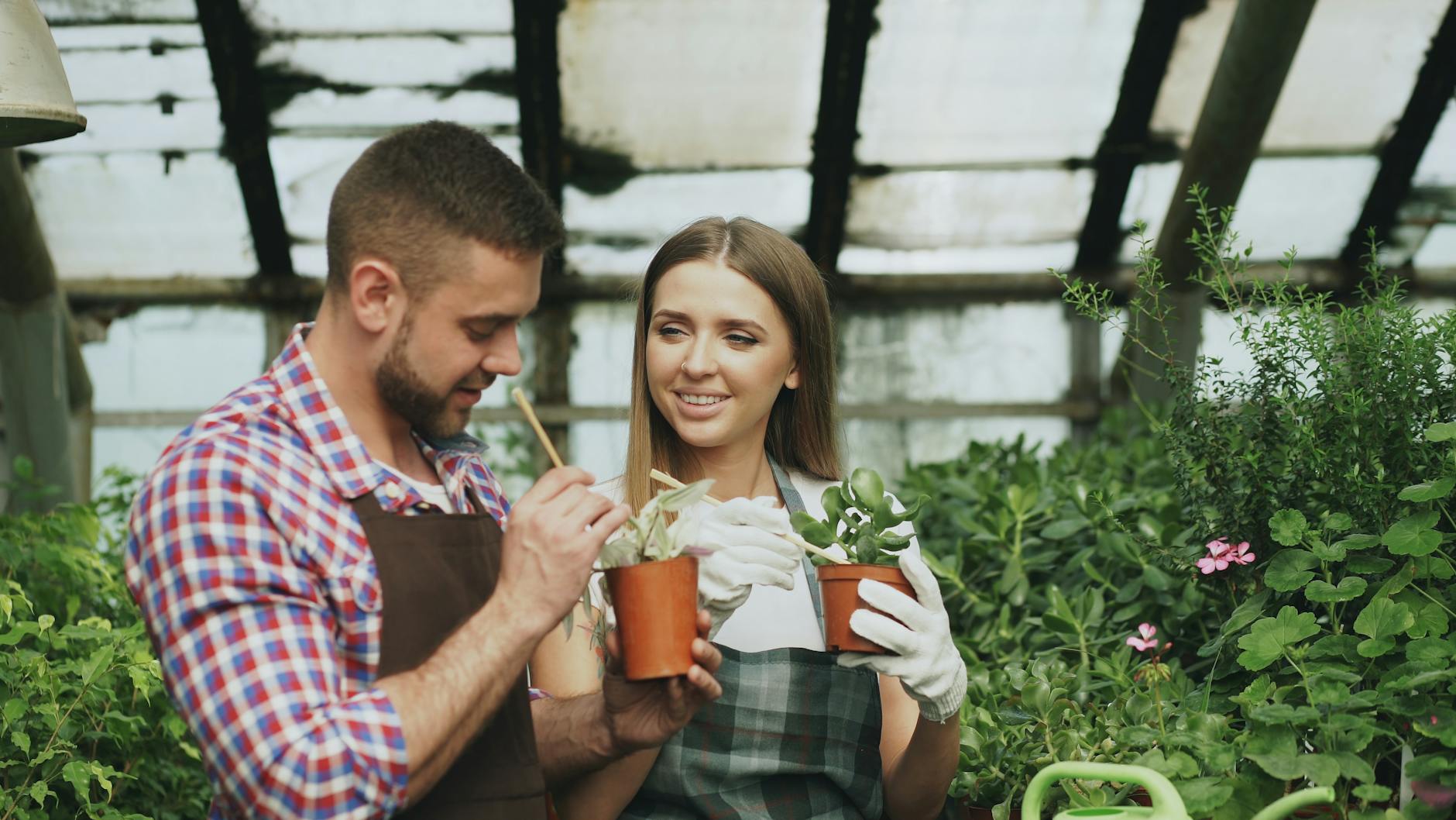 Peter — špecialista na výsadbu