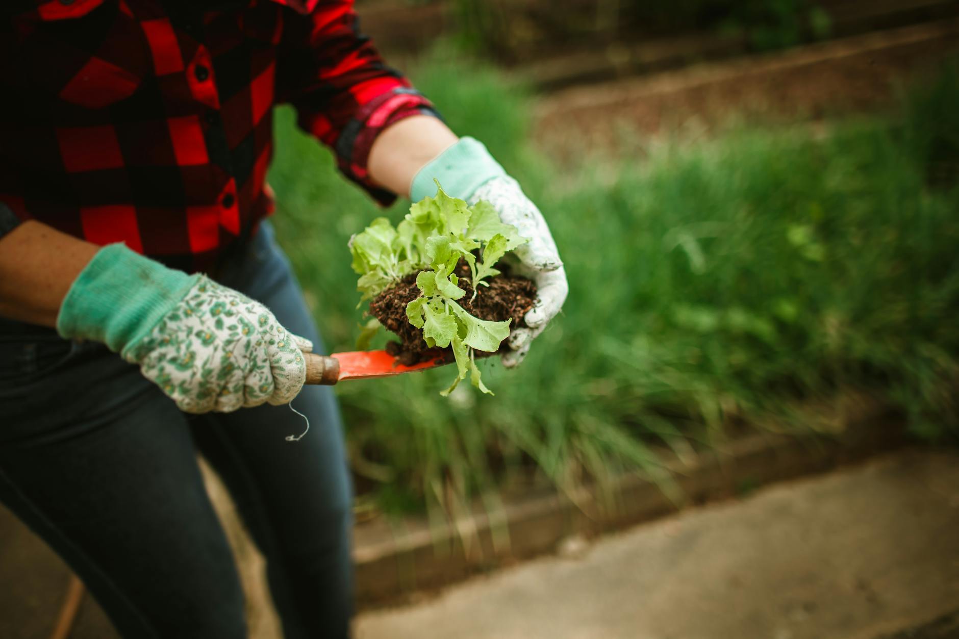 Jana — krajinná architektka
